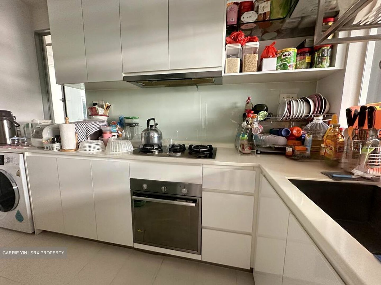 euHabitat (D14), Condominium #596524161